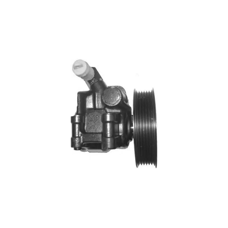 Pompe hydraulique, direction GENERAL RICAMBI PI0202