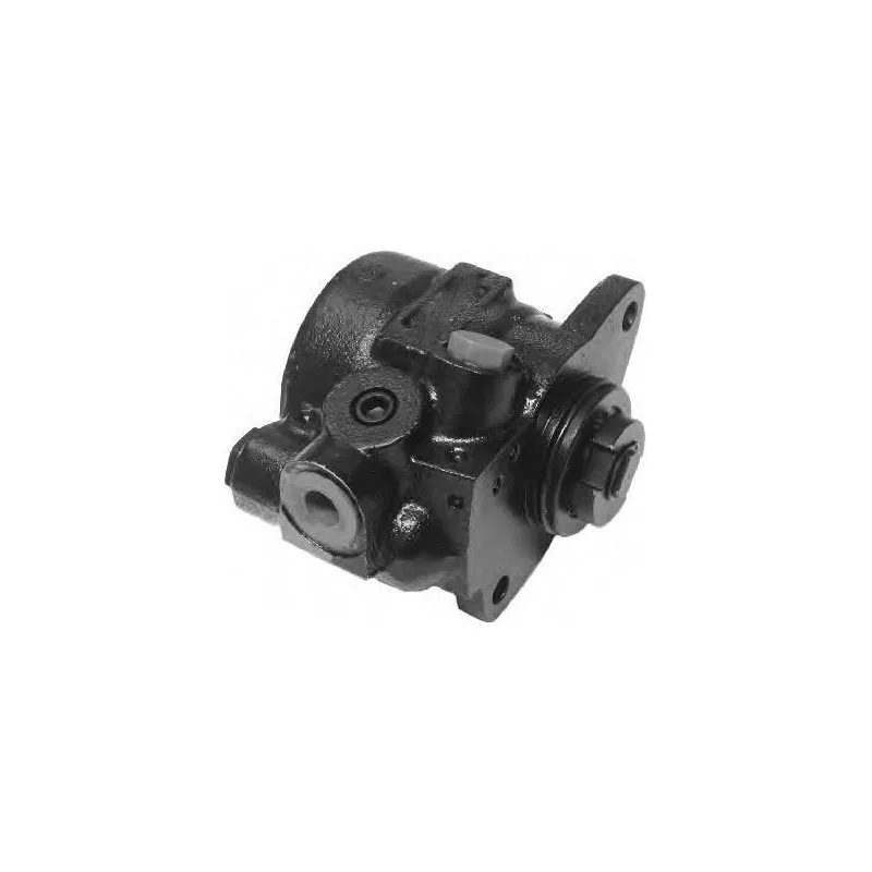 Pompe hydraulique, direction GENERAL RICAMBI PI0204