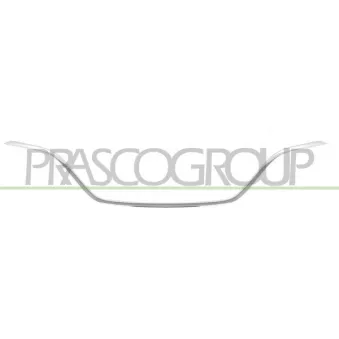 Baguette et bande protectrice, grille de radiateur PRASCO RN4332305