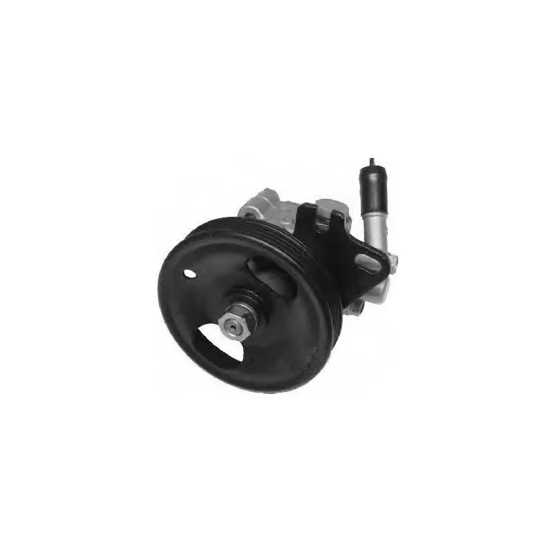Pompe hydraulique, direction GENERAL RICAMBI PI0208