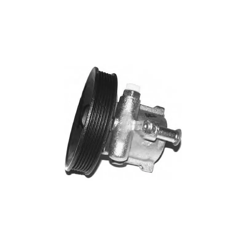 Pompe hydraulique, direction GENERAL RICAMBI PI0215