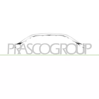 Grille de radiateur PRASCO RN7042305