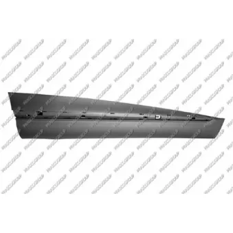 Baguette et bande protectrice, porte avant droit PRASCO RN7501403