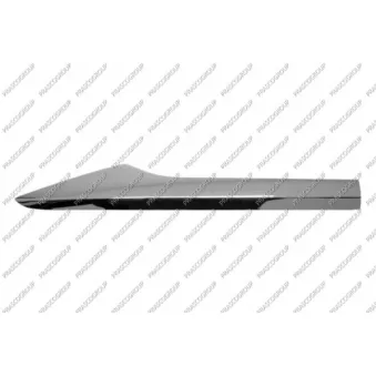 Baguette et bande protectrice, porte arrière droit PRASCO RN7501463