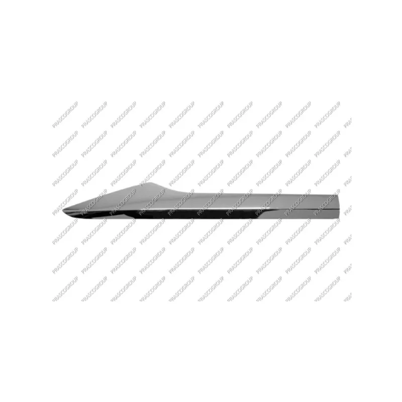 Baguette et bande protectrice, porte arrière droit PRASCO RN7501463