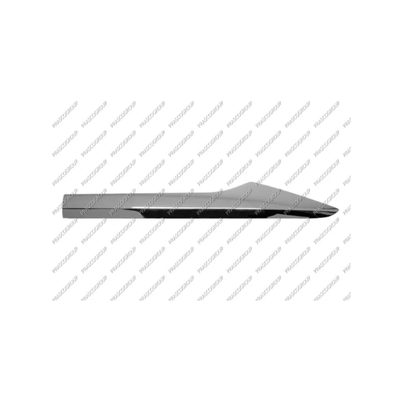 Baguette et bande protectrice, porte arrière gauche PRASCO RN7501464