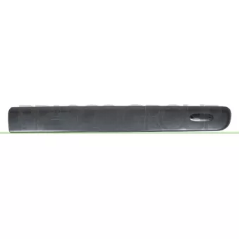 Baguette et bande protectrice, porte avant droit PRASCO RN9161403