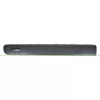Baguette et bande protectrice, porte avant gauche PRASCO RN9161404