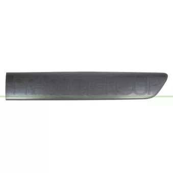 Baguette et bande protectrice, porte arrière gauche PRASCO RN9161454