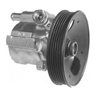 Pompe hydraulique, direction GENERAL RICAMBI PI0226