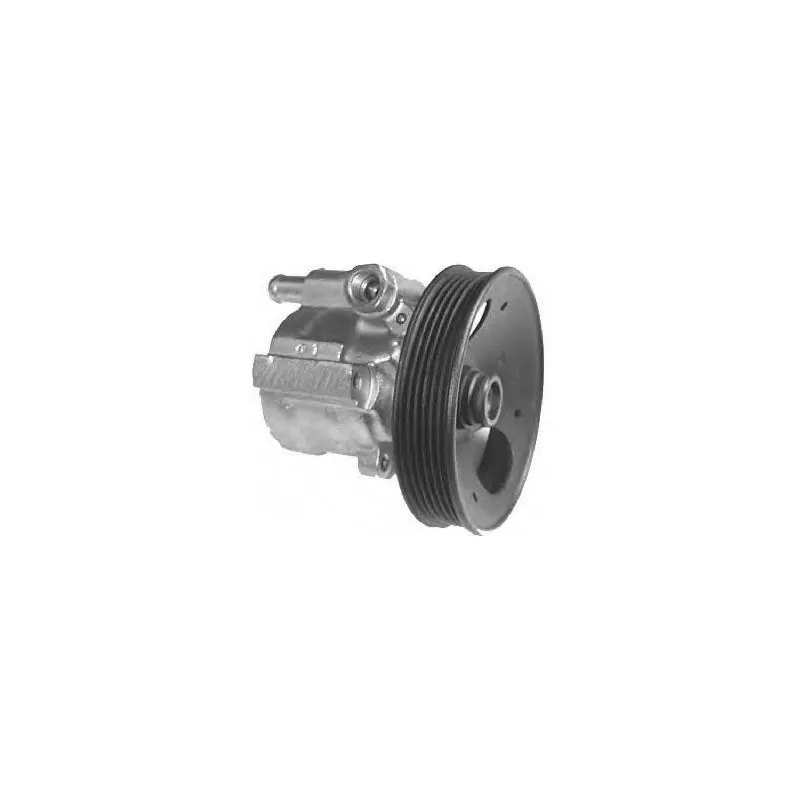Pompe hydraulique, direction GENERAL RICAMBI PI0226