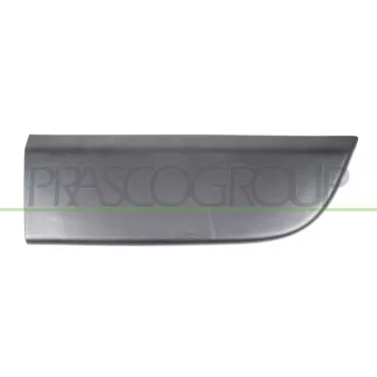 Baguette et bande protectrice, porte avant droit PRASCO RN9541403