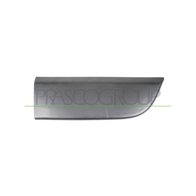 Baguette et bande protectrice, porte avant droit PRASCO RN9541403