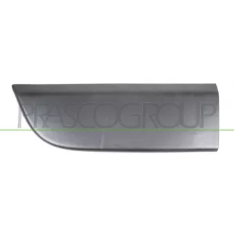 Baguette et bande protectrice, porte avant gauche PRASCO RN9541404