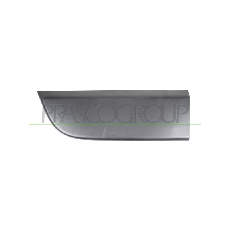 Baguette et bande protectrice, porte avant gauche PRASCO RN9541404