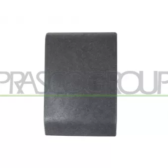 Baguette et bande protectrice, panneau latérale PRASCO RN9541415