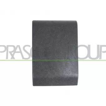 Baguette et bande protectrice, panneau latérale PRASCO RN9541416