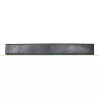 Baguette et bande protectrice, porte arrière droit PRASCO RN9541453
