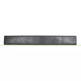 Baguette et bande protectrice, porte arrière gauche PRASCO RN9541454