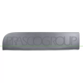 Baguette et bande protectrice, porte arrière droit PRASCO RN9541457