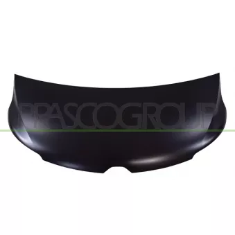 Capot-moteur PRASCO RN9583100