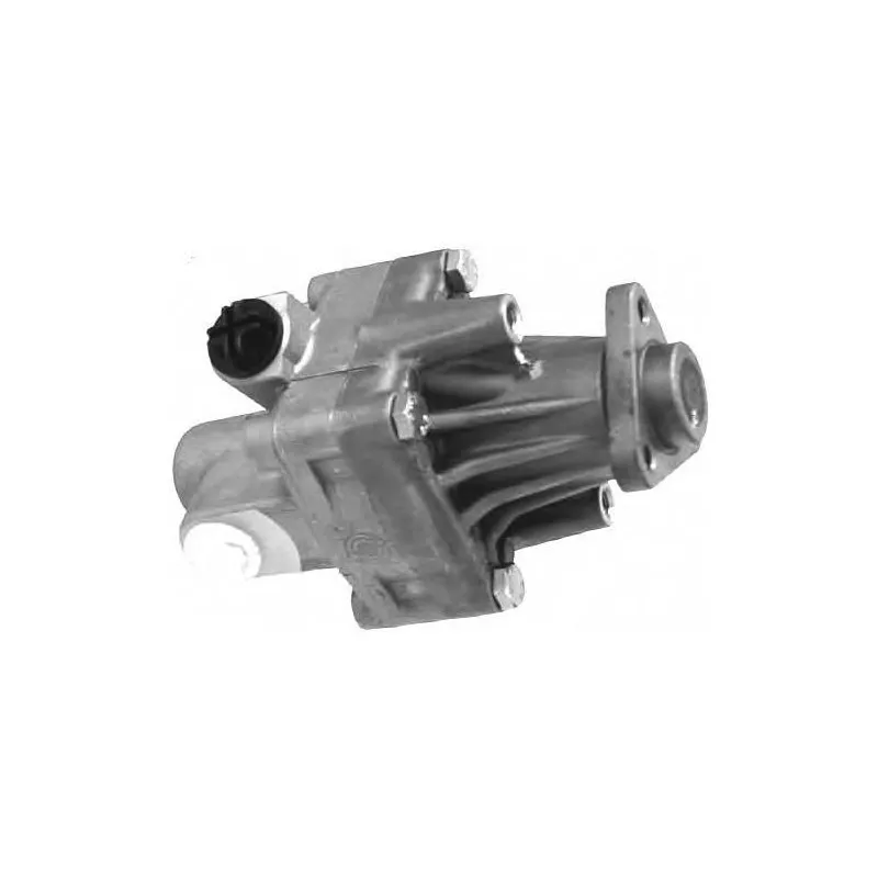 Pompe hydraulique, direction GENERAL RICAMBI PI0254