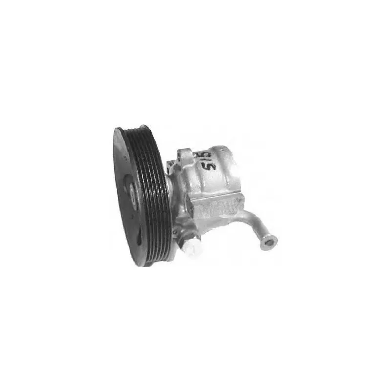 Pompe hydraulique, direction GENERAL RICAMBI PI0256