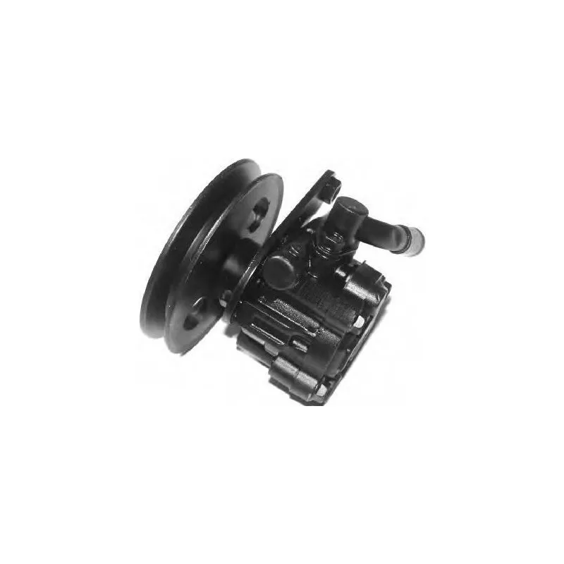 Pompe hydraulique, direction GENERAL RICAMBI PI0259
