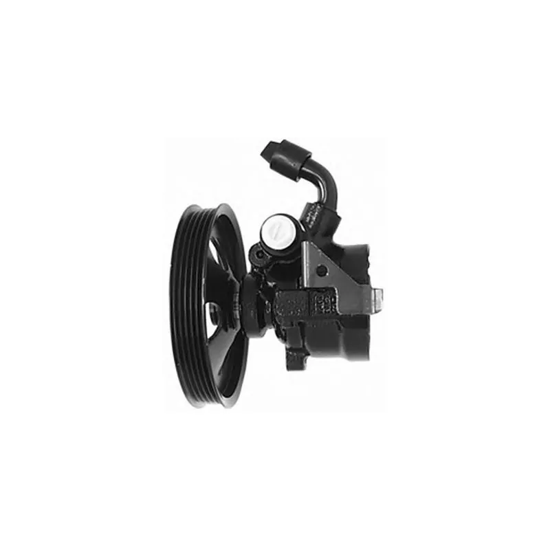 Pompe hydraulique, direction GENERAL RICAMBI PI0291