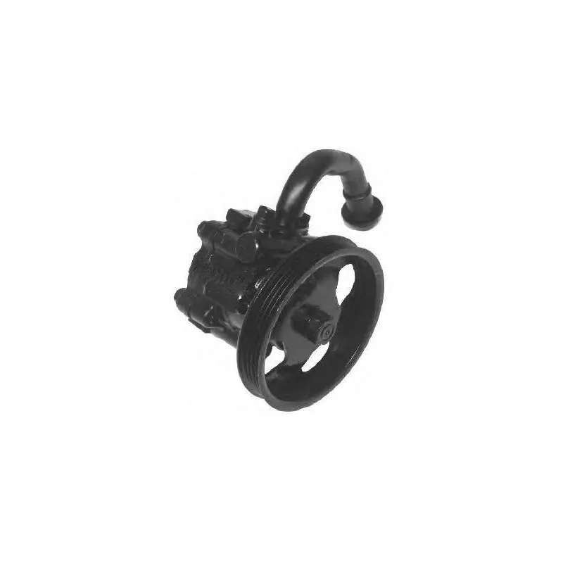 Pompe hydraulique, direction GENERAL RICAMBI PI0294