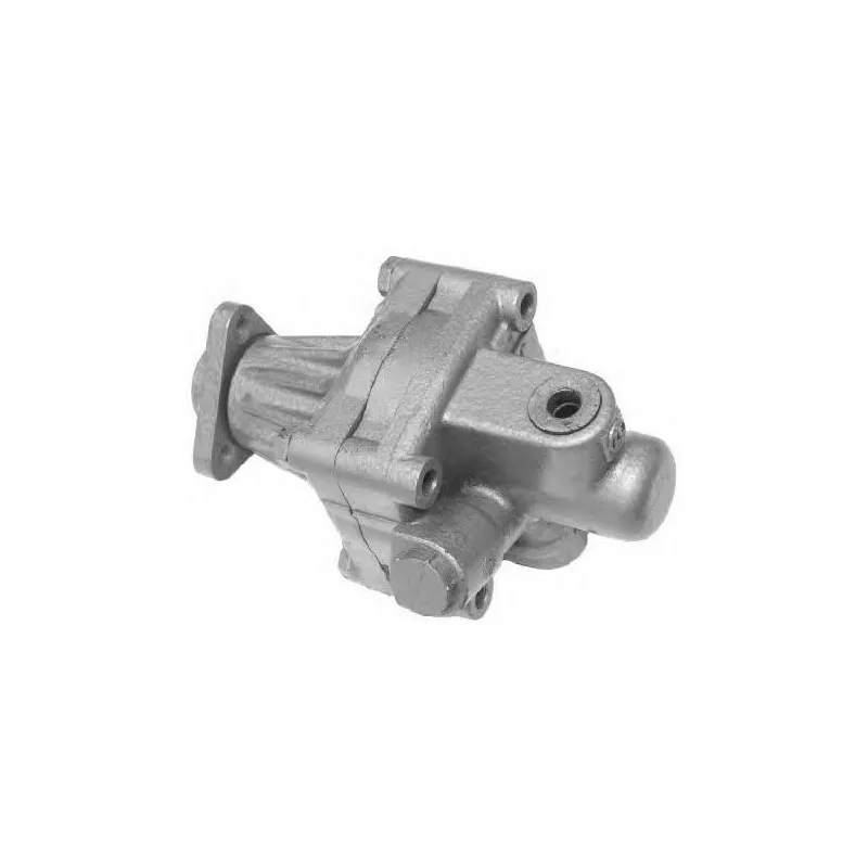 Pompe hydraulique, direction GENERAL RICAMBI PI0303