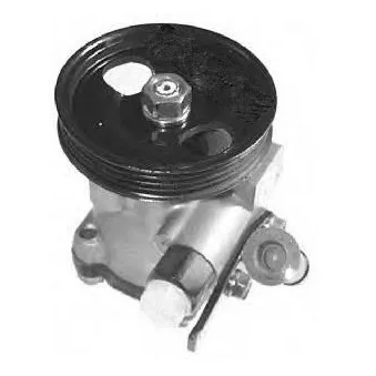 Pompe hydraulique, direction GENERAL RICAMBI PI0309