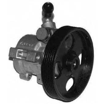 Pompe hydraulique, direction GENERAL RICAMBI PI0316