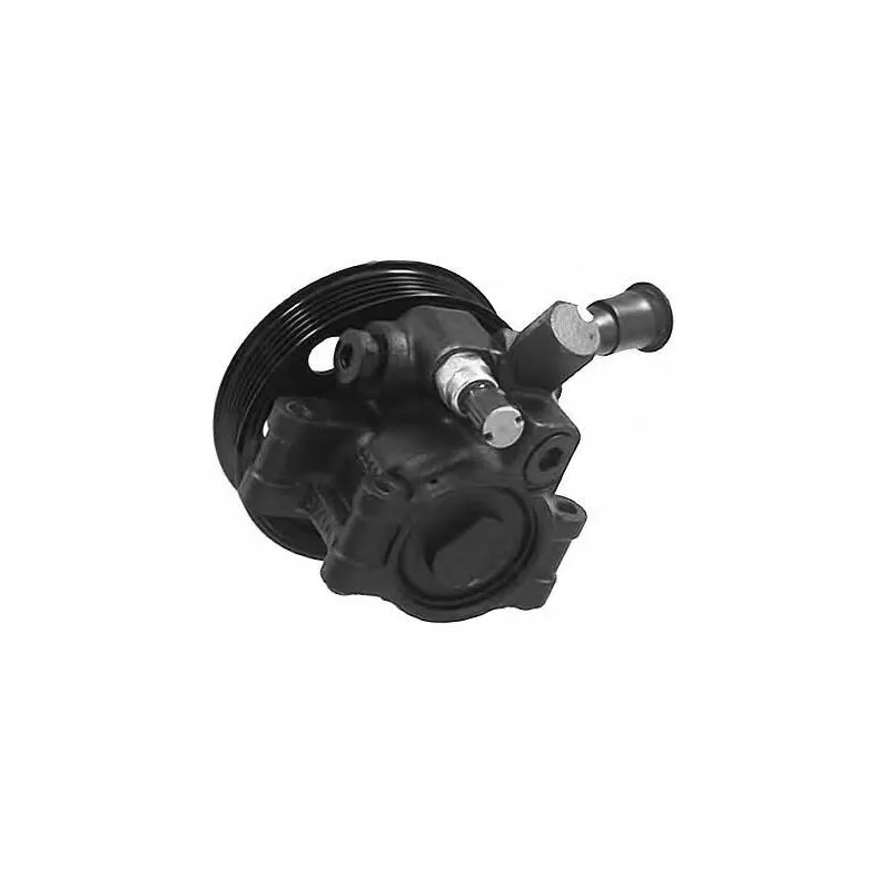 Pompe hydraulique, direction GENERAL RICAMBI PI0319