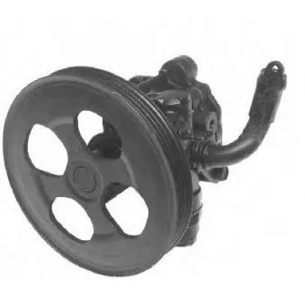 Pompe hydraulique, direction GENERAL RICAMBI