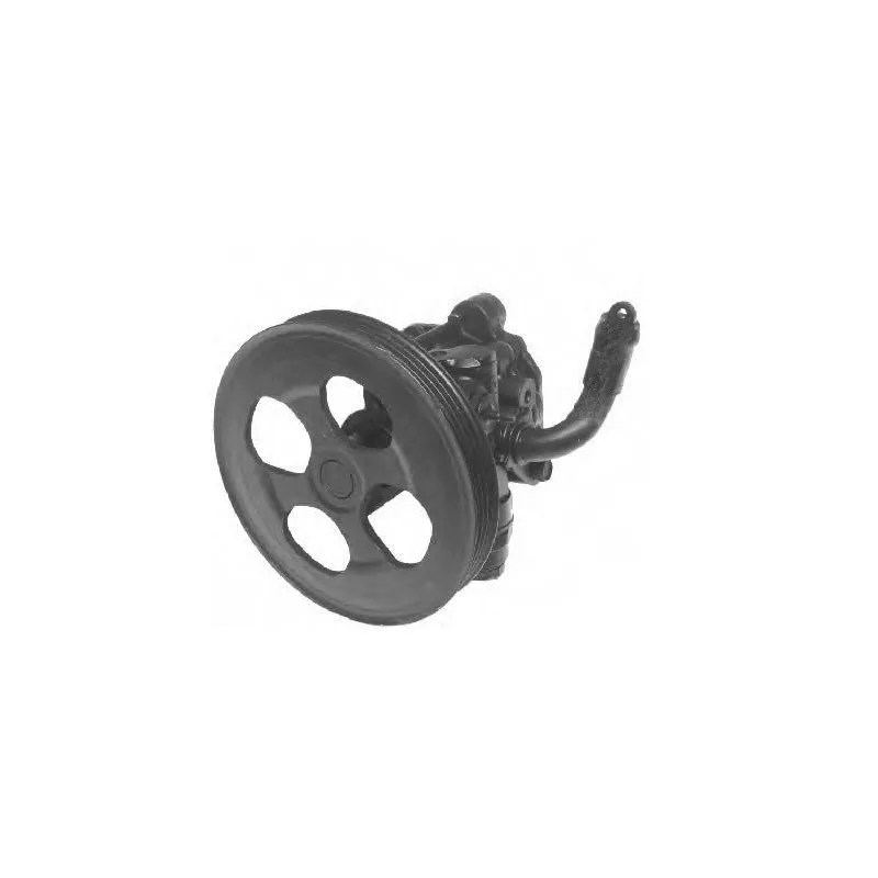 Pompe hydraulique, direction GENERAL RICAMBI PI0365