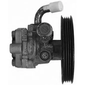 Pompe hydraulique, direction GENERAL RICAMBI PI0367