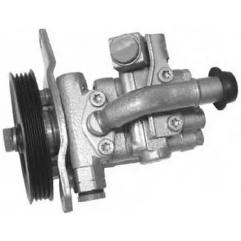 Pompe hydraulique, direction GENERAL RICAMBI PI0392