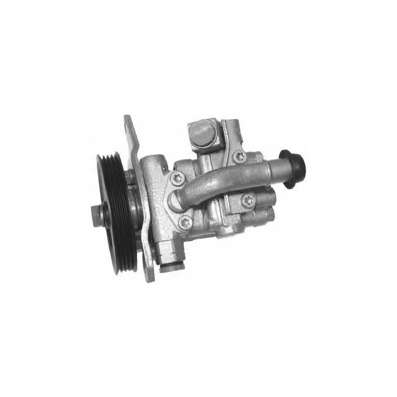 Pompe hydraulique, direction GENERAL RICAMBI PI0392