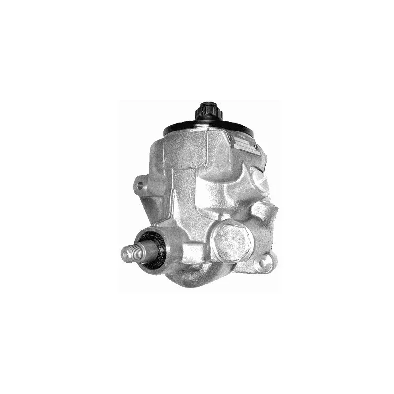 Pompe hydraulique, direction GENERAL RICAMBI PI0396