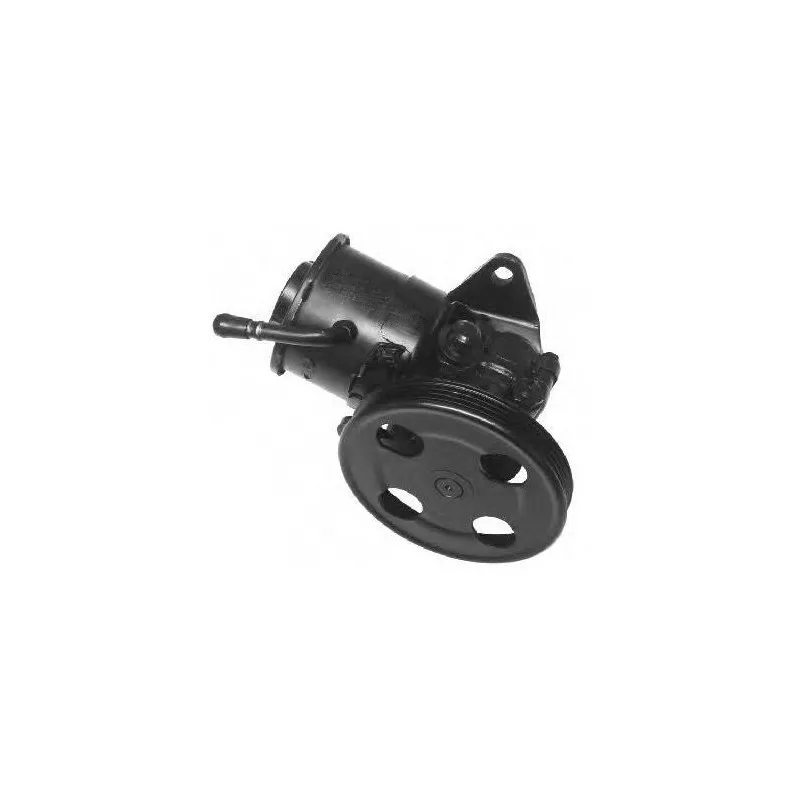 Pompe hydraulique, direction GENERAL RICAMBI PI0403