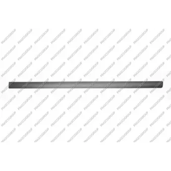 Baguette et bande protectrice, porte avant droit PRASCO SK0241403