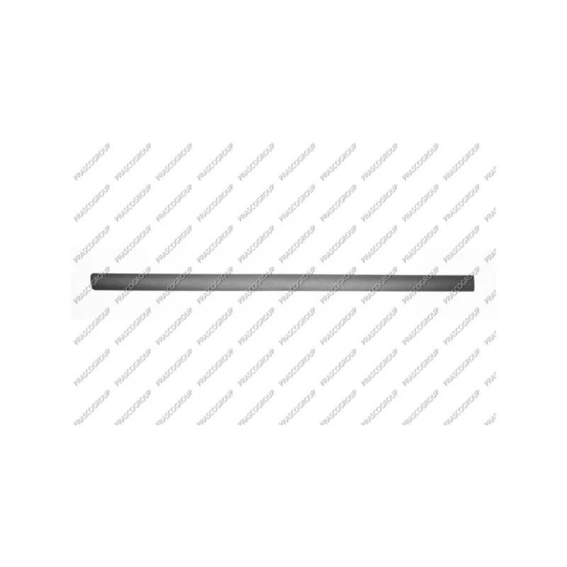 Baguette et bande protectrice, porte avant gauche PRASCO SK0241404