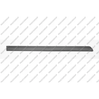 Baguette et bande protectrice, porte arrière droit PRASCO SK0241453