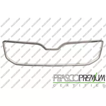 Baguette et bande protectrice, grille de radiateur PRASCO SK0302305
