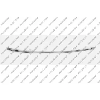 Baguette et bande protectrice, grille de radiateur PRASCO SK0321243