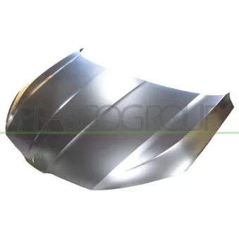 Capot-moteur PRASCO SK0343100