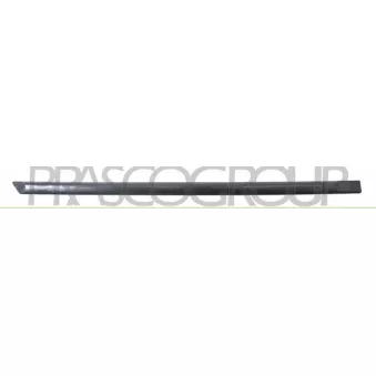 Baguette et bande protectrice, porte arrière droit PRASCO SK3201453
