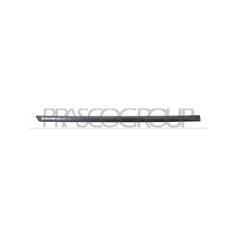 Baguette et bande protectrice, porte arrière droit PRASCO SK3201453