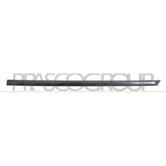Baguette et bande protectrice, porte arrière gauche PRASCO SK3201454